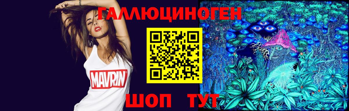 Галлюциногенные грибы Psilocybe  Галлюциногенные грибы Psilocybe  Якутск  Вход с VPN 